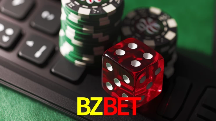 Security Systems BZBET